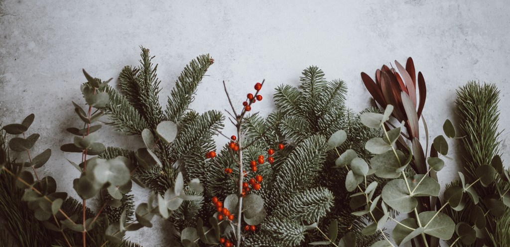 Staying Health-Centered During the&nbsp;Holidays